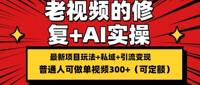 修复老视频的玩法，搬砖+引流的变现(可持久)，单条收益300+【揭秘】-网创资源站