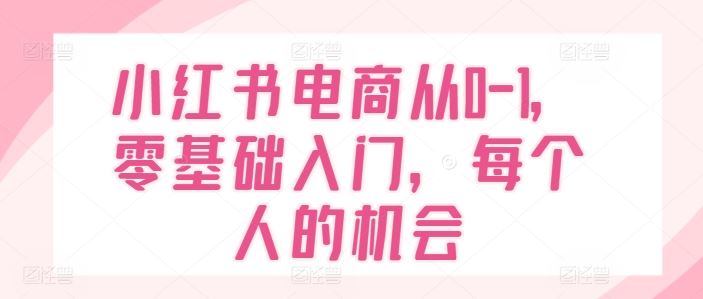 小红书电商从0-1，零基础入门，每个人的机会-网创资源站