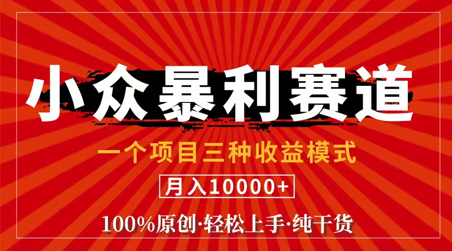 (11695期)视频号【中老年粉深信不疑】小众赛道 100%原创 手把手教学 新号3天收益…-网创资源站
