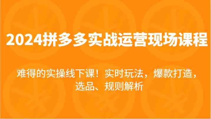 2024拼多多实战运营现场课，实时玩法，爆款打造，选品、规则解析，难得的实操线下课！-网创资源站