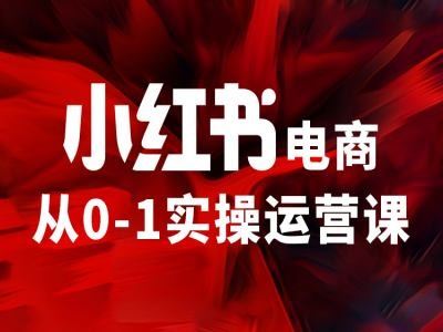 小红书电商从0-1实操运营课，让你从小白到精英-网创资源站