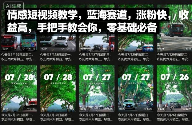 情感短视频教学，蓝海赛道，涨粉快，收益高，手把手教会你，零基础必备-网创资源站