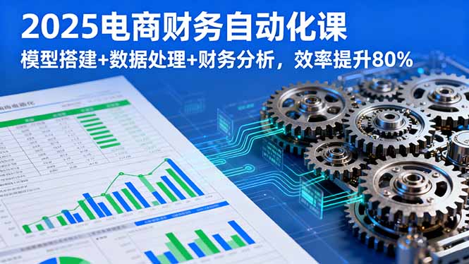 2025电商财务自动化课，模型搭建+数据处理+财务分析，效率提升80%-网创资源站