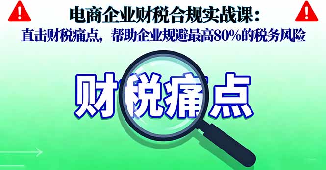电商企业财税合规实战课，直击财税痛点，帮助企业规避最高80%的税务风险-网创资源站