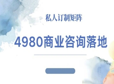 4980商业咨询师落地课程-ip运营高客单教程-网创资源站