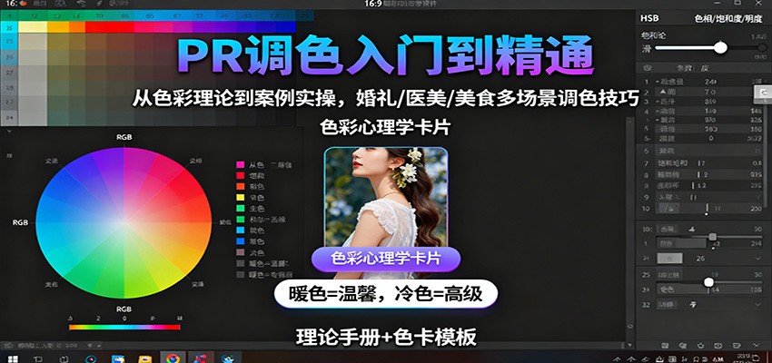 PR调色入门到精通：从色彩理论到案例实操，婚礼/医美/美食多场景调色技巧-网创资源站