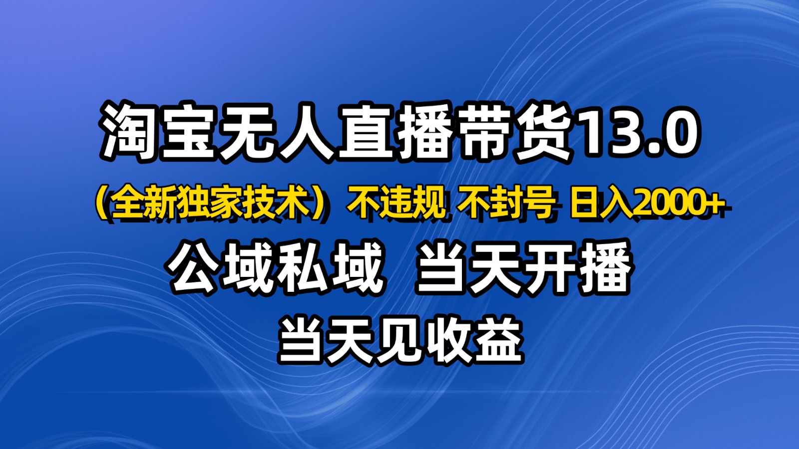 淘宝无人直播13.0，公域私域技术，不封号，不违规 布局下半年旺季赛道，日入2000+-网创资源站