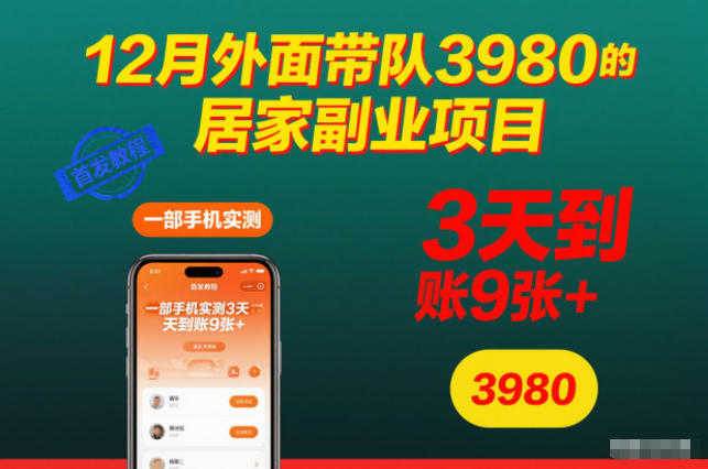 12月外面带队3980的居家副业项目，一部手机实测3天到账9张+，首发教程【揭秘】-网创资源站