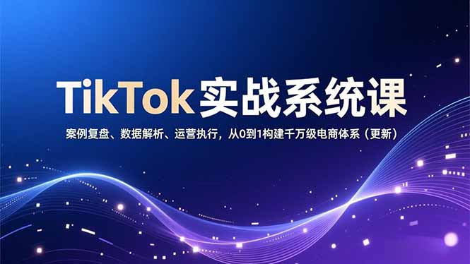 TikTok实战系统课，案例复盘、数据解析、运营执行，从0到1构建千万级电商体系(更新-网创资源站