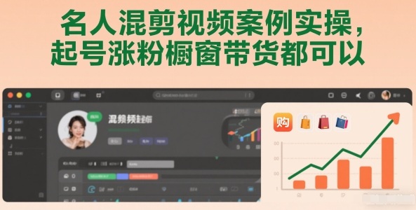 名人混剪视频案例实操，起号涨粉橱窗带货都可以-网创资源站