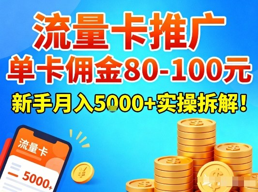 流量卡推广，单卡佣金80-100，新手月入5k+实操拆解！-网创资源站