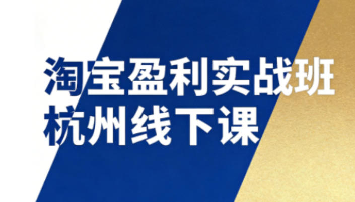 淘宝盈利实战班杭州线下课12月26-28日(音频+字幕)，帮你掌握SOP流程+12门核心技术-网创资源站