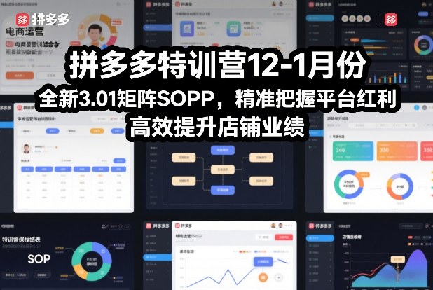 拼多多特训营12-1月份，全新3.01矩阵Sop，精准把握平台红利，高效提升店铺业绩-网创资源站