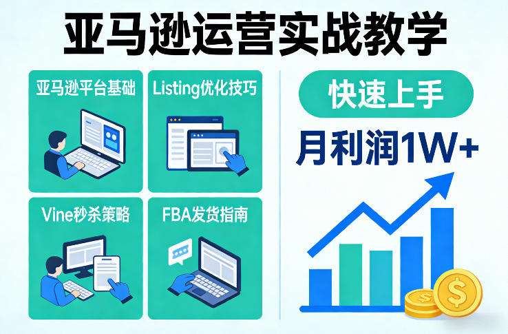 亚马逊运营实战教学，亚马逊平台+Listing优化+Vine秒杀+FBA发货等，快速上手，实现店铺月利润1W-网创资源站