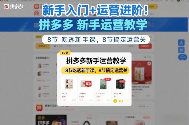 新手入门+运营进阶！拼多多新手运营教学，8节吃透新手课，8节搞定运营关-网创资源站