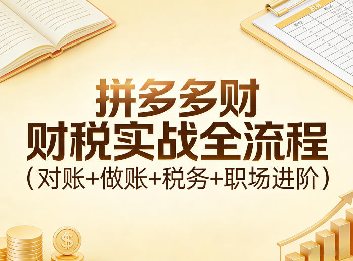 拼多多财税实战全流程(对账+做账+税务+职场进阶)-网创资源站
