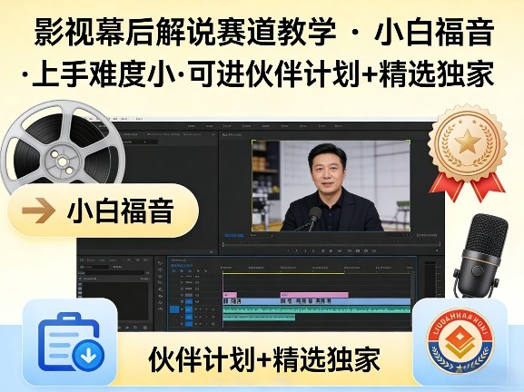 某大佬的影视幕后解说赛道教学，小白福音，上手难度小，可进伙伴计划+精选独家-网创资源站
