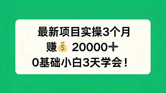 最新项目实操3个月，赚钱20000+，0基础小白3天学会！-网创资源站