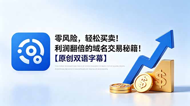 零风险，轻松买卖！利润翻倍的域名交易秘籍！【原创双语字幕】-网创资源站