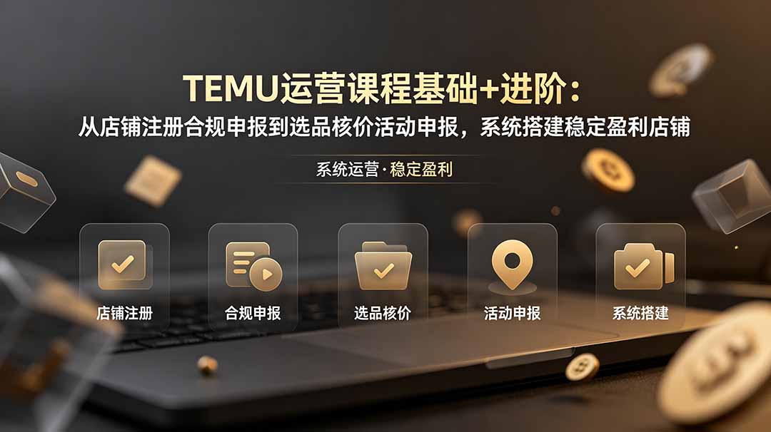 TEMU运营课程(基础+进阶-网创资源站