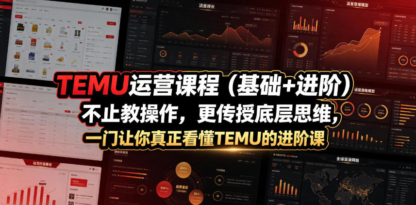 TEMU运营课程(基础+进阶)，不止教操作，更传授底层思维，一门让你真正看懂TEMU的进阶课-网创资源站