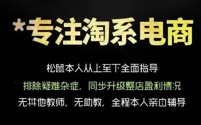 松鼠会电商VIP课程，从基础布局到高阶优化，助你掌握淘宝运营逻辑，提升店铺流量与转化(更新0823)-网创资源站