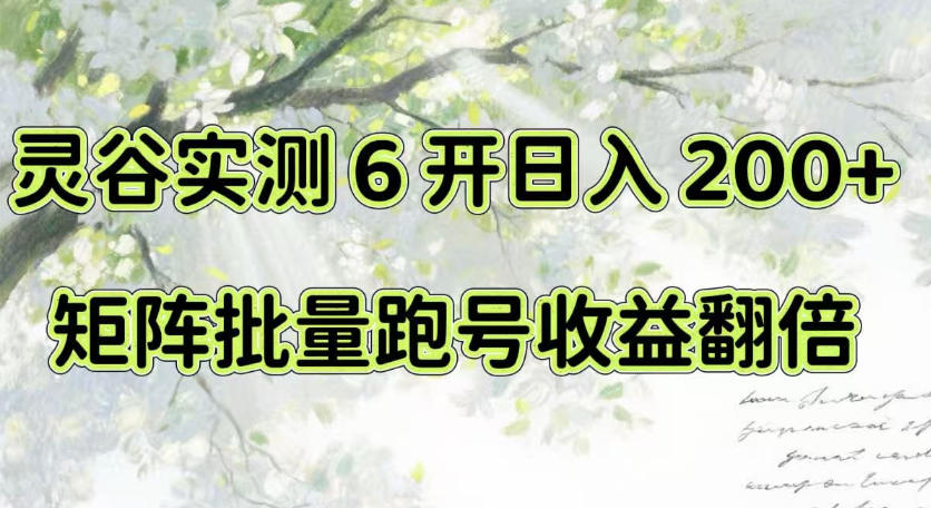 一台电脑就能做！灵谷实测6开日入200+，矩阵批量跑号收益翻倍【揭秘】-网创资源站