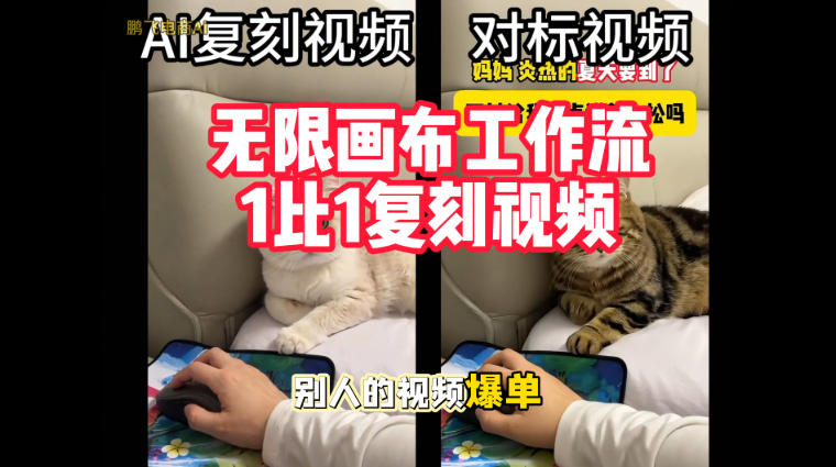 宠物带货视频复刻，无限画布工作流1比1，不用拍摄、不用布景、不用真人出镜，几分钟就能做出一条专业带货视频-网创资源站
