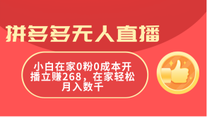 (11521期)拼多多无人直播,小白在家0粉0成本开播立赚268,在家轻松月入数千-网创资源站