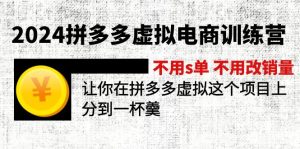 （11525期）2024拼多多虚拟电商训练营 不用s单 不用改销量  在拼多多虚拟上分到一杯羹-网创资源站