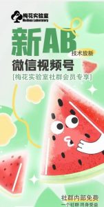 梅花实验室2024年AB技术视频号AB合成破解版-网创资源站