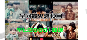 （11546期）全网爆火的AI让老照片动起来教程，蹭热点日赚3000+，内含免费工具一键…-网创资源站