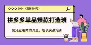 2024拼多多单品爆款打造班，充分应用你的流量，增长实战培训(更新6月)-网创资源站