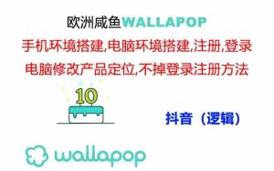 wallapop整套详细闭环流程：最稳定封号率低的一个操作账号的办法-网创资源站