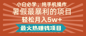 2024暑假最赚钱的项目,简单无脑操作,每单利润最少500+,轻松月入5万+-网创资源站