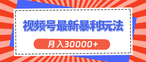 （11588期）视频号最新暴利玩法，轻松月入30000+-网创资源站