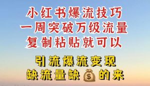 小红书爆流技巧,一周突破万级流量,复制粘贴就可以,引流爆流变现【揭秘】-网创资源站