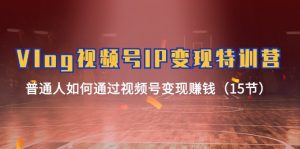 (11654期)Vlog 视频号IP变现特训营,普通人如何通过视频号变现赚钱(15节)-网创资源站