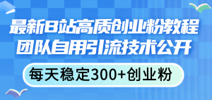 (11661期)最新B站高质创业粉教程,团队自用引流技术公开,每天稳定300+创业粉-网创资源站
