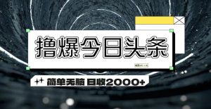 (11665期)撸爆今日头条 简单无脑操作 日收2000+-网创资源站