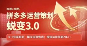 2024-2025拼多多运营策略蜕变3.0，0~1完美蜕变，解决信息焦虑-网创资源站