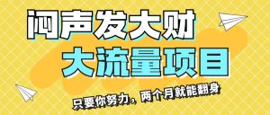 (11688期)闷声发大财,大流量项目,月收益过3万,只要你努力,两个月就能翻身-网创资源站