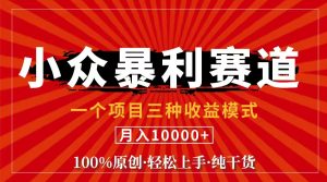 (11695期)视频号【中老年粉深信不疑】小众赛道 100%原创 手把手教学 新号3天收益…-网创资源站