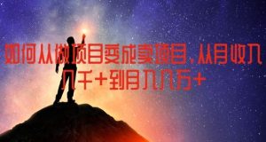 如何从做项目变成卖项目，从月收入几千到月入几万【揭秘】-网创资源站