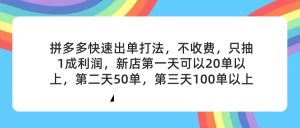 (11681期)拼多多2天起店,只合作不卖课不收费,上架产品无偿对接,只需要你回…-网创资源站
