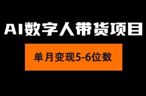 （11751期）2024年Ai数字人带货，小白就可以轻松上手，真正实现月入过万的项目-网创资源站