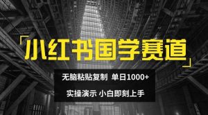 小红书国学赛道，无脑粘贴复制，单日1K，实操演示，小白即刻上手【揭秘】-网创资源站