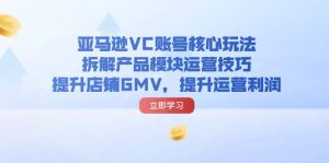 （11848期）亚马逊VC账号核心玩法，拆解产品模块运营技巧，提升店铺GMV，提升运营利润-网创资源站
