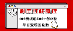 (11859期)利用杠杆100元撬动500+创业粉,单日变现5位数-网创资源站