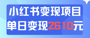 (11885期)利用小红书卖资料单日引流150人当日变现2610元小白可实操(教程+资料)-网创资源站